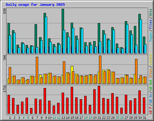 Daily usage for January 2025