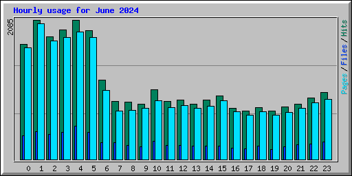 Hourly usage for June 2024