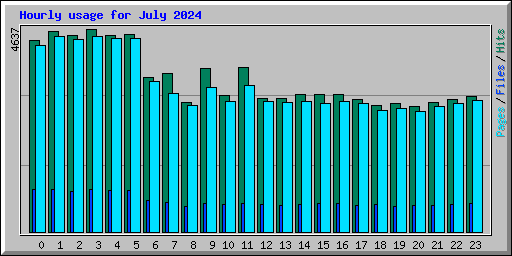 Hourly usage for July 2024