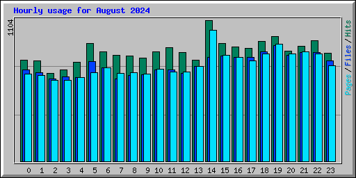 Hourly usage for August 2024