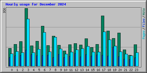 Hourly usage for December 2024