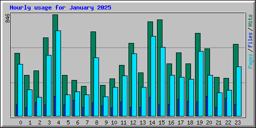 Hourly usage for January 2025