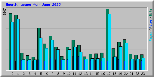 Hourly usage for June 2025