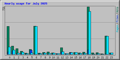 Hourly usage for July 2025