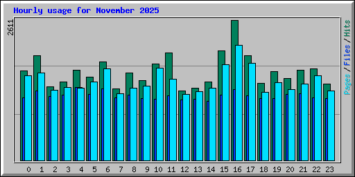 Hourly usage for November 2025