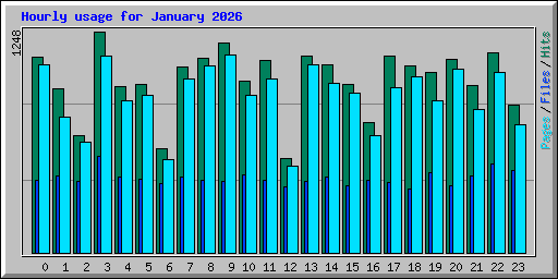 Hourly usage for January 2026