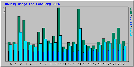 Hourly usage for February 2026