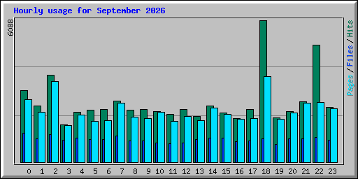 Hourly usage for September 2026