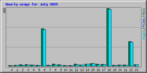 Hourly usage for July 2025