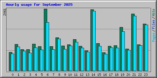 Hourly usage for September 2025
