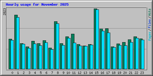 Hourly usage for November 2025