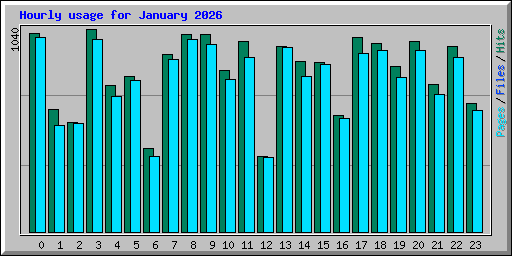 Hourly usage for January 2026