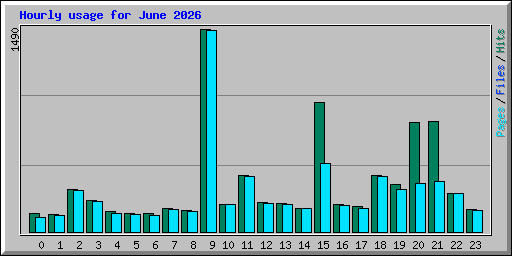 Hourly usage for June 2026