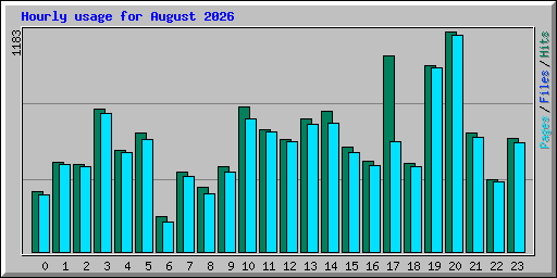 Hourly usage for August 2026